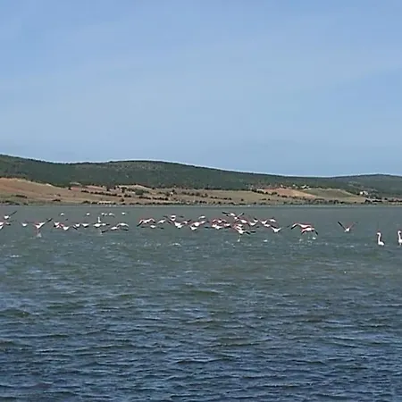 Casa Barbara Sardinia * Masainas