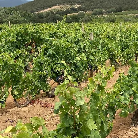 Villa Casa Barbara Sardinia *