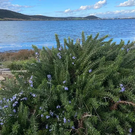 Casa Barbara Sardinia Masainas