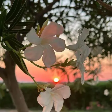 Casa Barbara Sardinia Villa Masainas