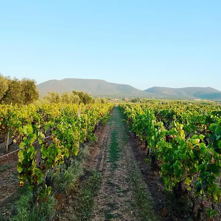 Casa Barbara Sardinia Villa *
