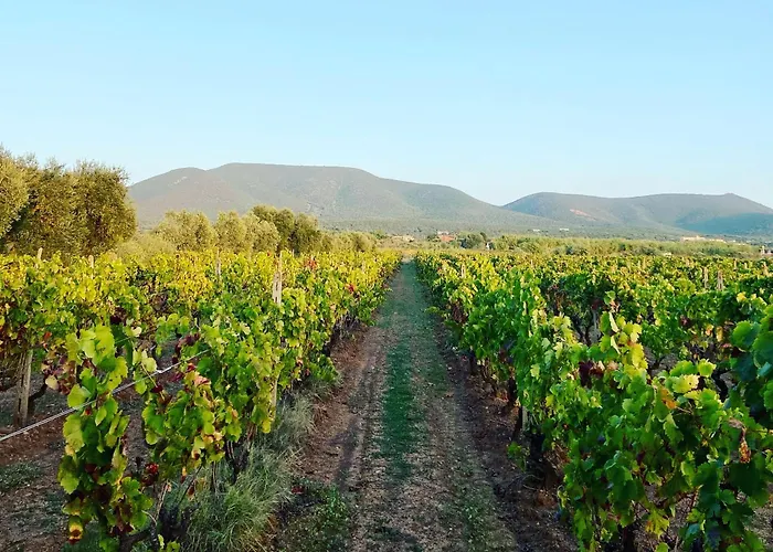 Casa Barbara Sardinia 别墅 *