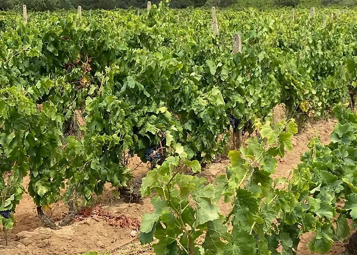 别墅 Casa Barbara Sardinia *