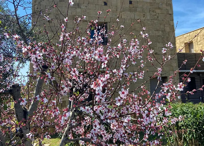 Casa Barbara Sardinia *