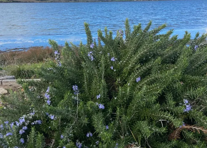 Casa Barbara Sardinia Masainas